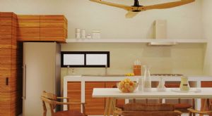 Render o imagen n&uacute;mero  15